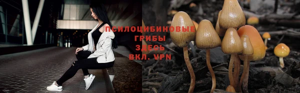 a pvp Балахна