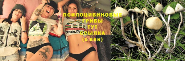 ешки Аркадак