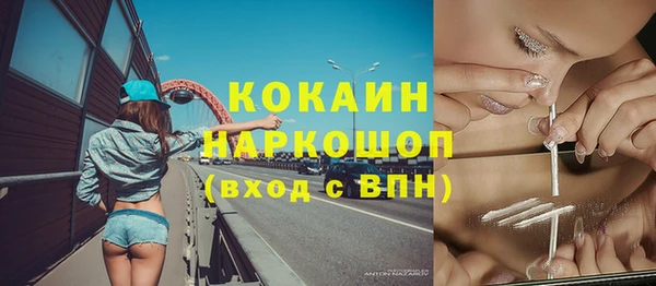 ешки Аркадак