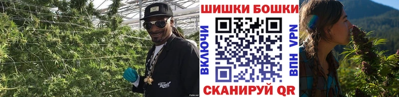где продают наркотики  Порхов  Каннабис Amnesia 